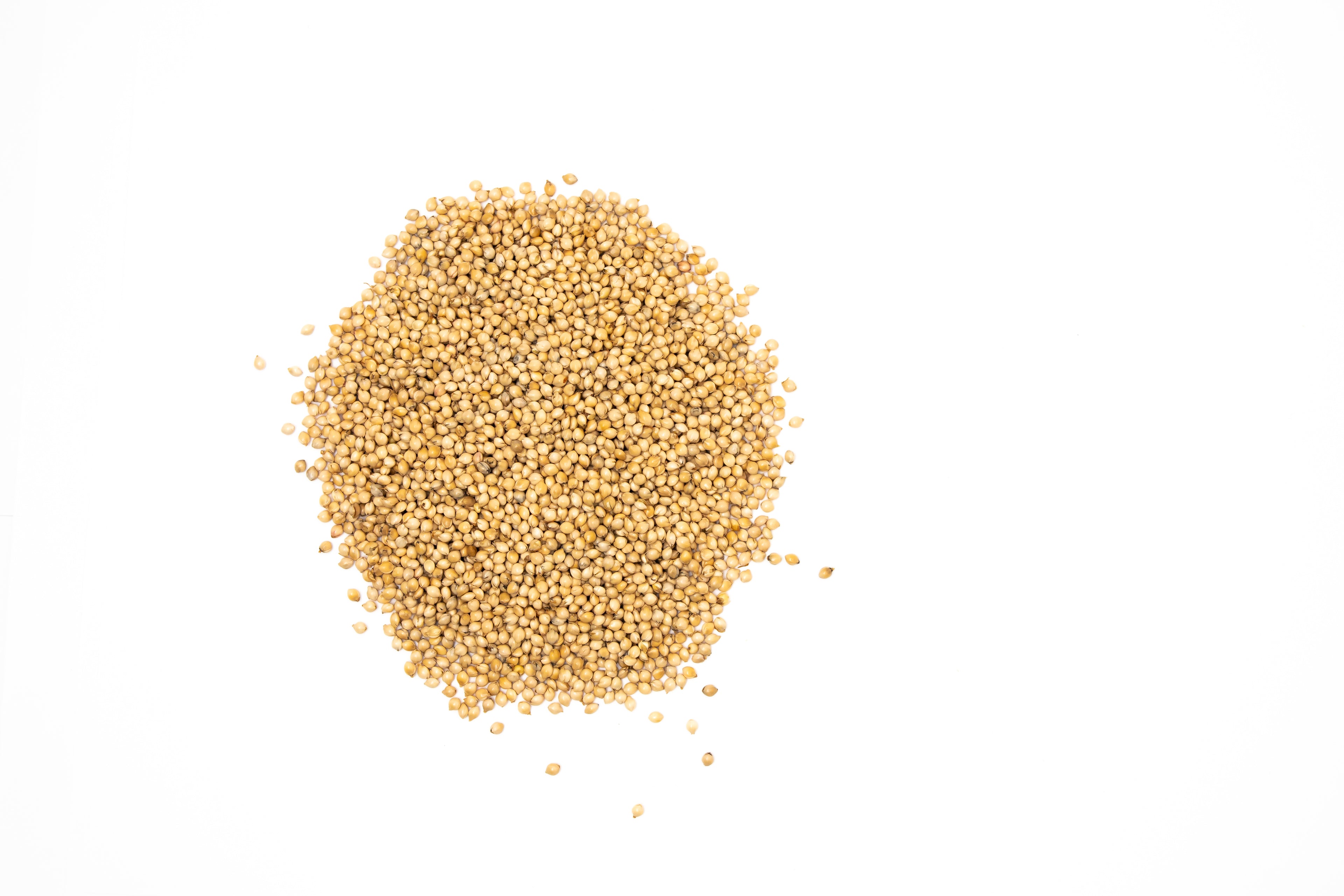 Millet Malt