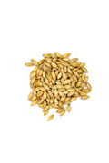 Pale Malt