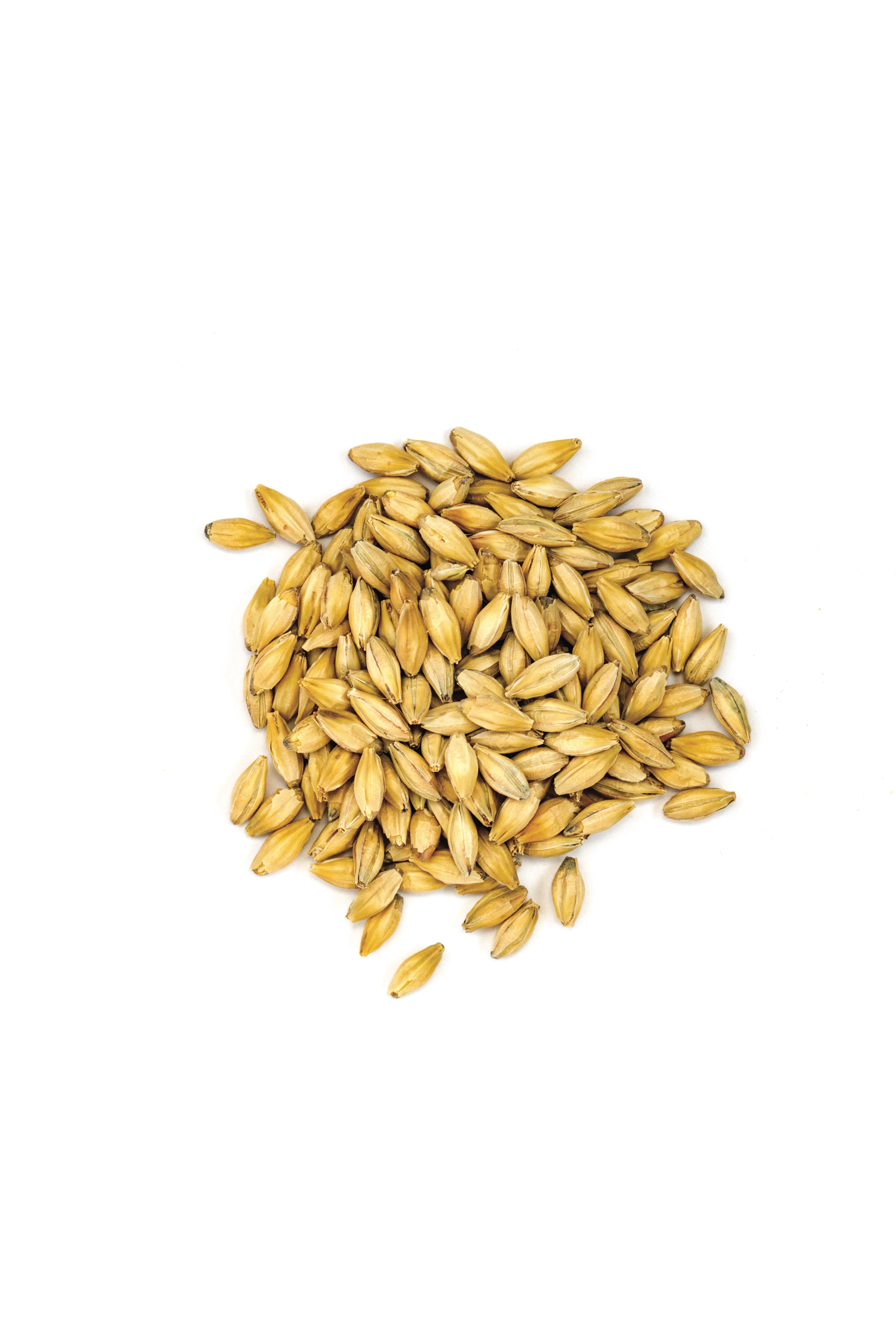 Pale Malt
